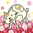 家飼い野良猫「リン」の　　徒然日記