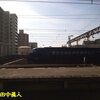 大阪・住吉大社の卯之葉神事