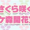 どうぶつの森 ポケットキャンプ🍀さくら咲く！ポケ森開花宣言