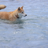 川に浸かって