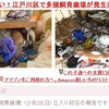 東京の『ねこねこ亭』が多頭飼育崩壊現場へ救出に入った