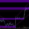 2月のビットコインの月足どうなるの？？？