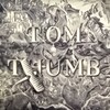 アニメ『TOM THUMB』（NIKOLAY LICHTENFELD and IVAN KOSTIURIN）を観る  アニメ版・二十一世紀の黙示録（連載16）