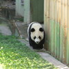 マドリードに移動→Zoo Aquarium de Madrid