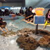 【2013年コロナ禍前の訪問】葛西臨海水族園のようす（東京都江戸川区臨海町）