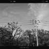 Photo No.1949 / 休み一日目