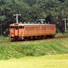 紅葉にマッチする鉄道車両の色は？