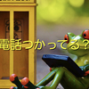 昨日だっけ？一昨日だっけ？公衆電話のことが気になったのよ