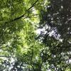 入社２か月弱で病む