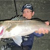西尾店 三河湾 シーバス 釣果情報 ！～愛と復讐のミニテロ君～