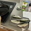 昨日釣れたサバを焼いた