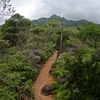 山行記　右田ヶ岳　塚原ルート→天徳寺ルート