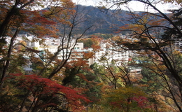 記事を見る
