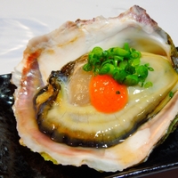 【シューイチ】大岩がき＆大あさり「灯台茶屋」愛知県田原市！大久保さん【7月13日】