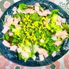 菜の花じゃなくて「アスパラ菜」 サラダとお浸しで食べる