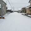 やっと雪景色になりました