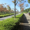 今週の三田・里山キャンパス（556）：紅葉