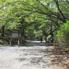 西国巡礼・琵琶湖周遊の巡礼記（２7）三井寺国宝の金堂（本堂）へ。