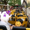 最近のお出かけ記録9月～10月