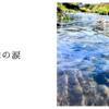 地球の涙