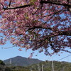 桜と本宮山　　豊川市　2020_02_24