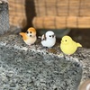 緩め3000-2000-1000～8月1日(木)