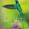 ハチドリの魅力を豊富な観察例と精緻な写真、新たな生態研究をあわせて紹介するビジュアル図鑑「世界で一番美しい ハチドリ図鑑」