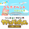 ヤドン しまむら アベイルでのグッズ 随時更新 ヤドめで ヤドンをめでるブログ