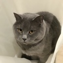 ママ、プログラミングするってよ。