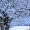 除雪・雪かきはやっぱり大変？ちょっと調べてみた。