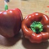最近行ってた現場。