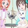 わんだふるぷりきゅあ！ 第33話 「マルっとアニマルスマイル」 感想