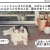 ぶち猫ニャーニャちゃんのおはなし その11(最終回)