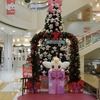２０１５年平和堂のクリスマスイルミネーション