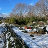 積雪猫楽園