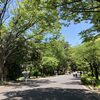 2025年6月のまとめ