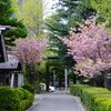 名残り惜しく