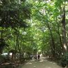 下鴨神社・糺の森で開催の「古本まつり」に行ってきました！＆下鴨神社特別公開へ