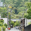 京都・永観堂の新緑もみじ