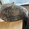 寝るに限る