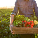 Hokkaido Farm’s blog