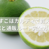 ゆずすこはカルディで買える？販売店と通販ルート完全ガイド！