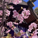 バンド好きによる神社参拝忘備録「ぼっち・ざ・神社！」