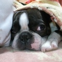 やんちょの気まぐれ日記