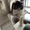 家にいるだけでいいなんて、ありがたすぎる。