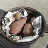 小春（？）日和だ　燻製日和だ　芋を焼こう