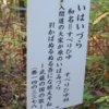 万葉集の世界に飛び込もう―万葉一日一葉（その３１６４）―国分寺万葉庭園（３２）
