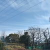                                             (巻四十三)聞とめてよりの水音敗荷［やぶれはす］(村上鞆彦) 