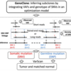 tumor heterogeneityを見積もるGenoClone