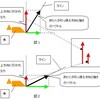 手元バラしにお困りのかた達へ